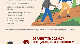 Осторожно клещи!